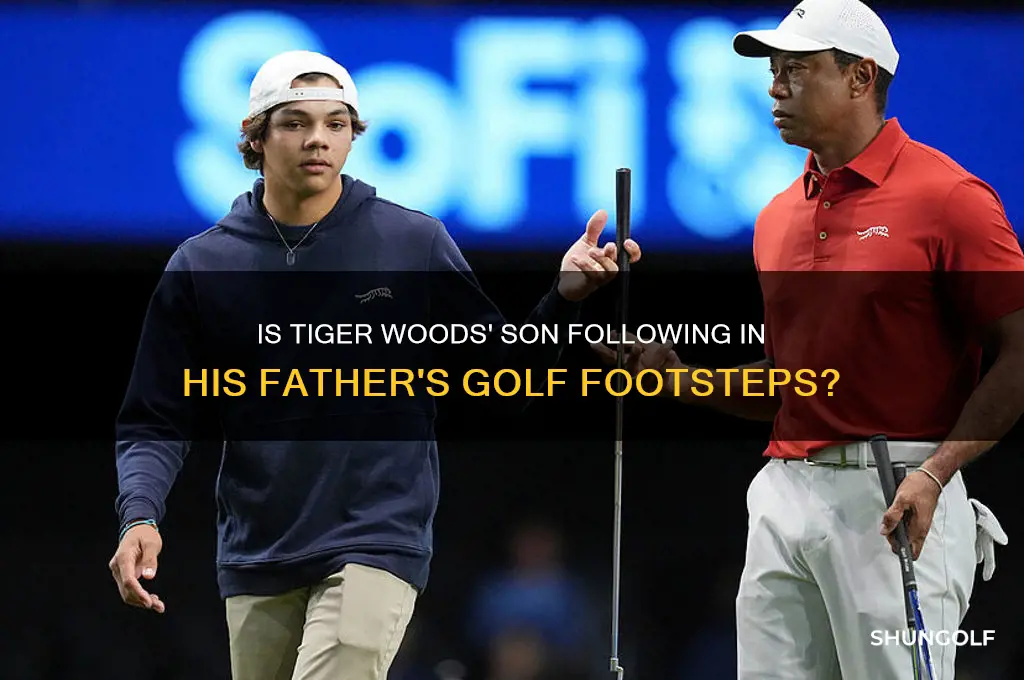 is tiger woods son a pro golfer