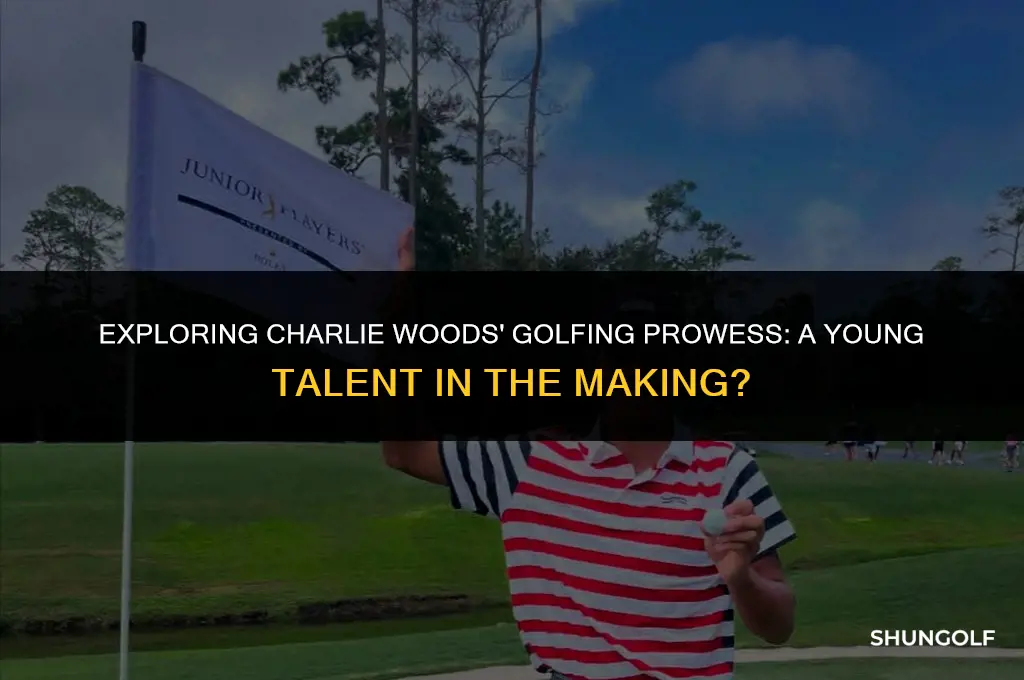 is tiger woods son charlie a good golfer