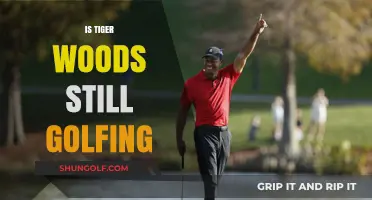 Tiger Woods' Golfing Career: What's Next?
