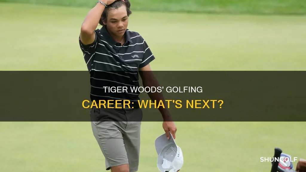 is tiger woods still golfing