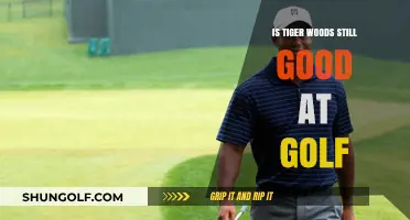 Tiger Woods' Golf Prowess: A Continued Legacy of Excellence?