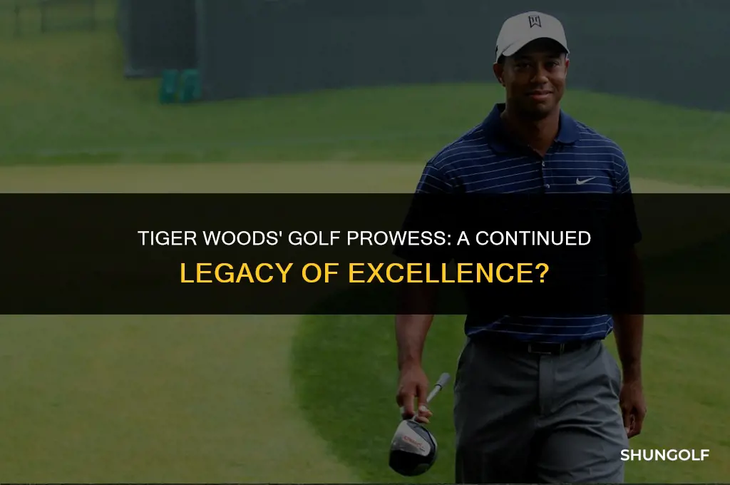 is tiger woods still good at golf