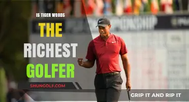 Tiger Woods: Richest Golfer Ever?