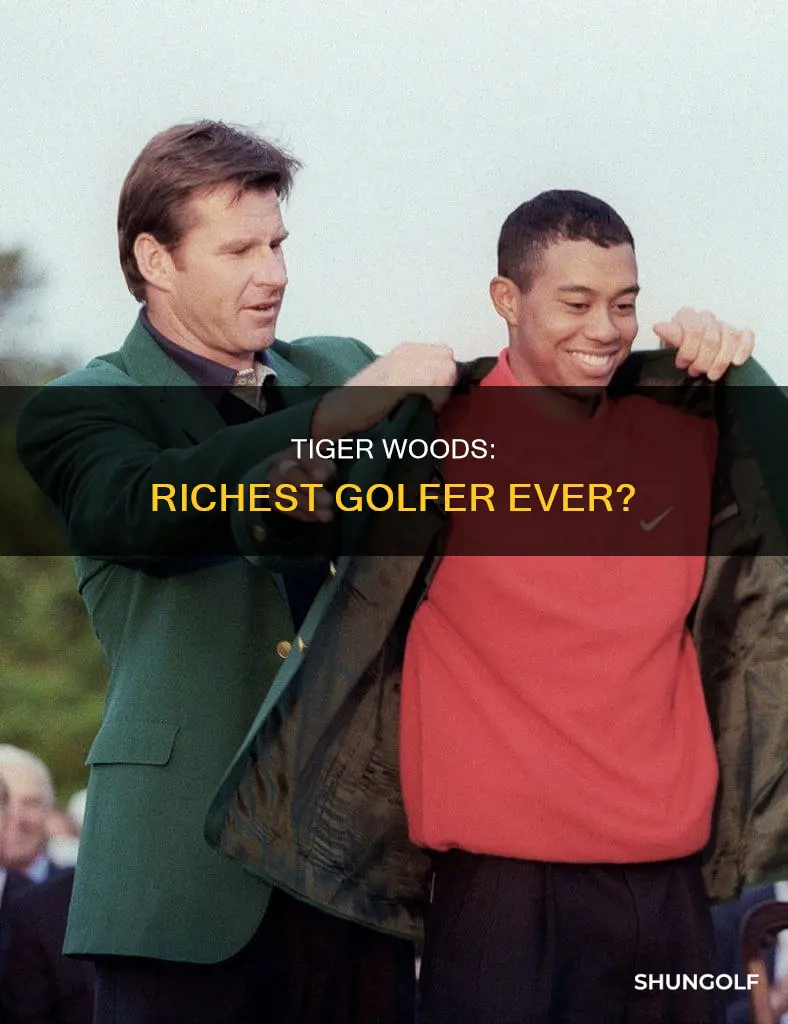 is tiger woods the richest golfer