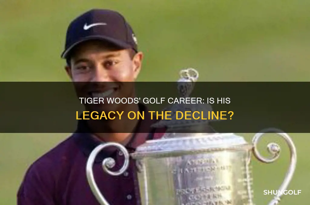 is tiger woods through as a golfer