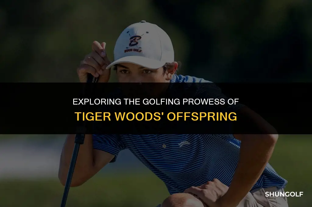 is tiger