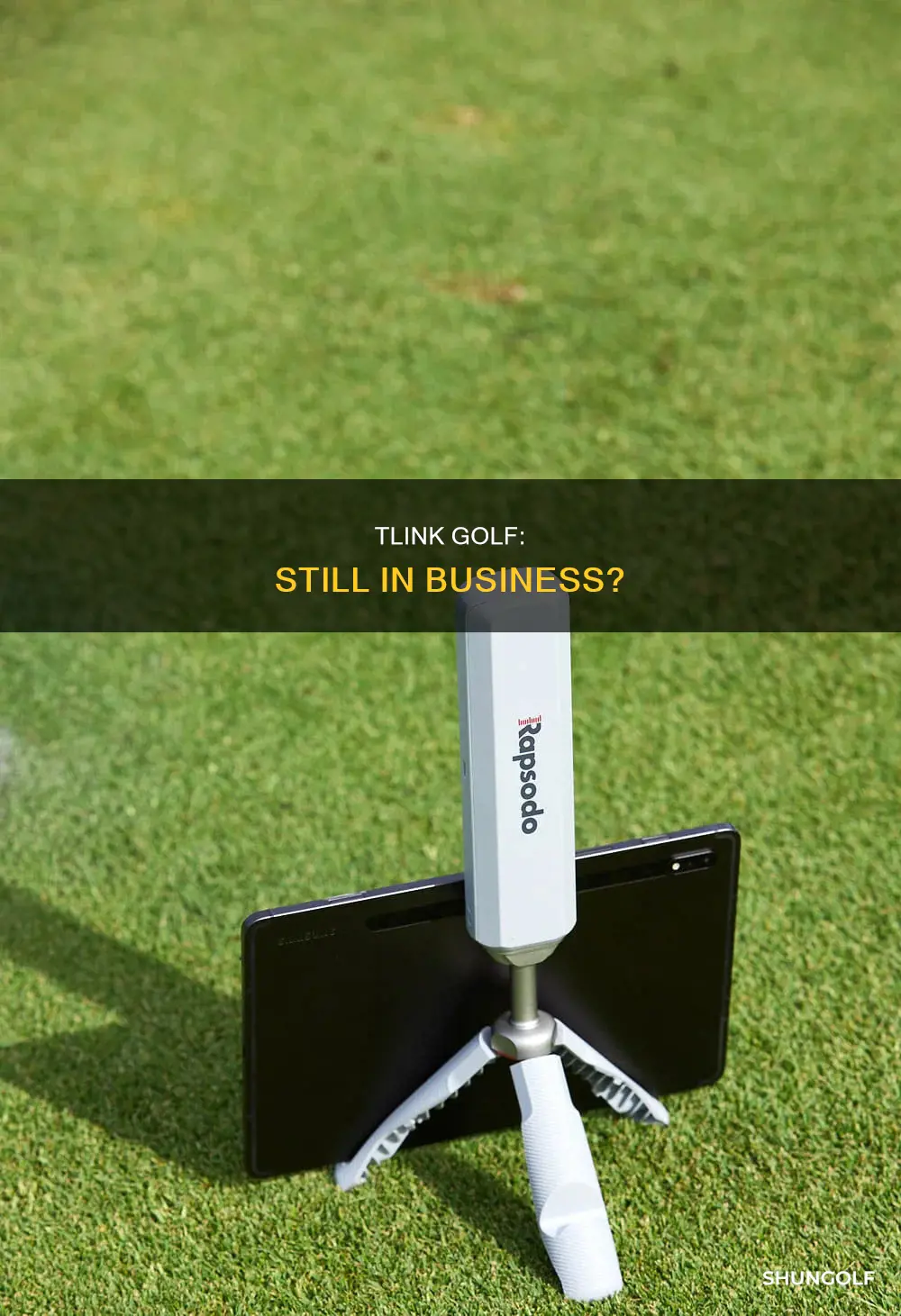 is tlink golf still in business
