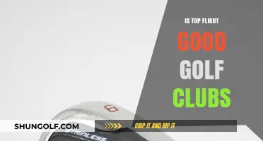 Are Top Flight Golf Clubs Worth the Investment for Your Game?