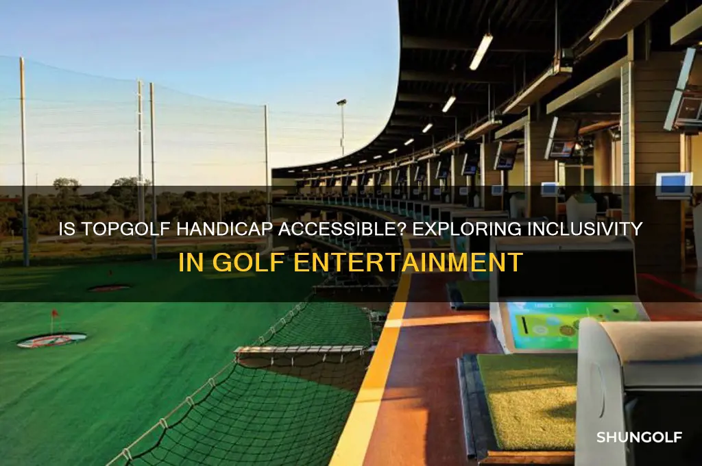 is top golf handicap accessible