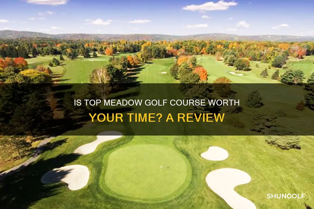 is top meadow golf course any good