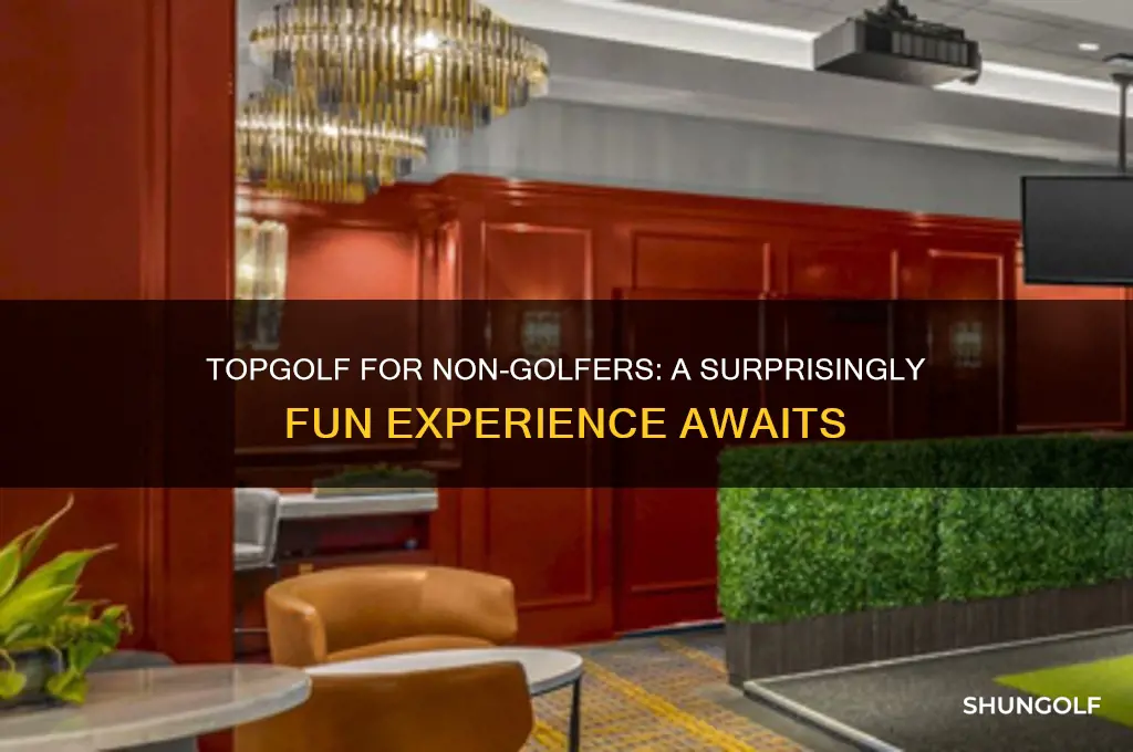 is topgolf fun if you don