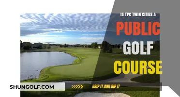 Is TPC Twin Cities Public? Exploring Access to This Golf Course