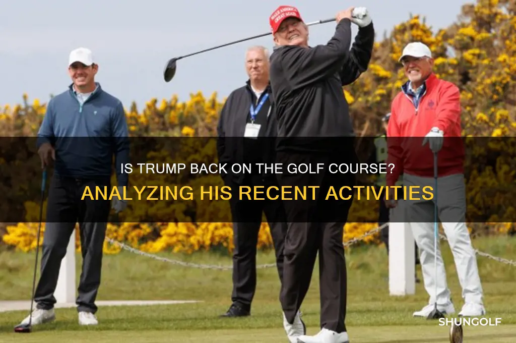 is trump back from golfing