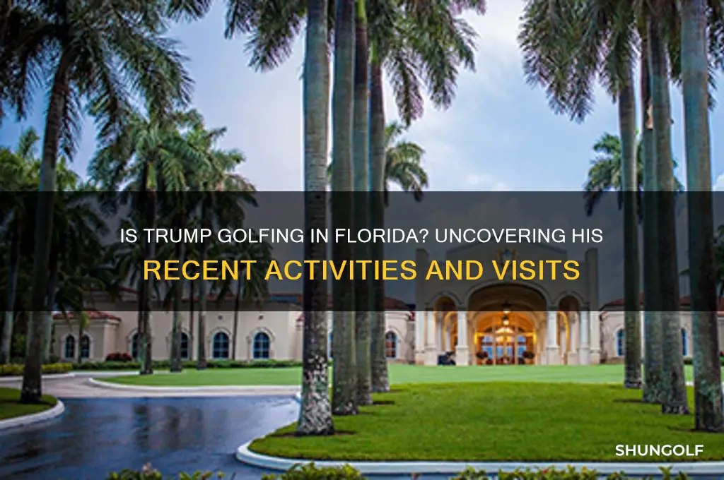 is trump golfing in florida