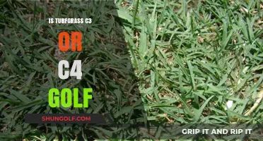 Turfgrass Types: C3 vs C4 for Golf Courses
