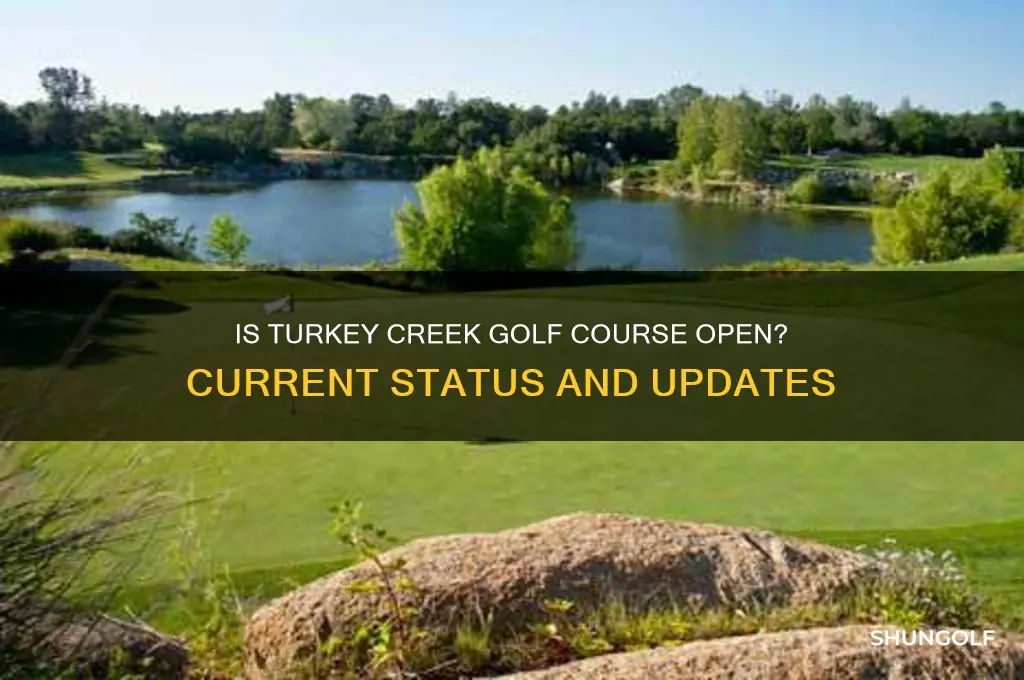 is turkey creek golf course open
