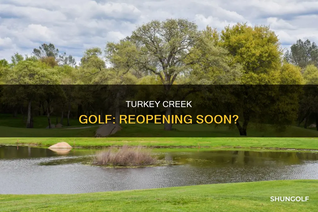 is turkey creek golf reopening