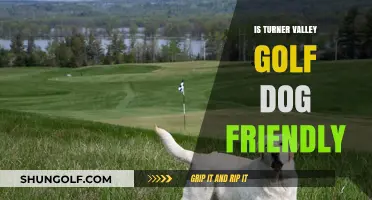 Golfing with Fido: Turner Valley's Dog-Friendly Course