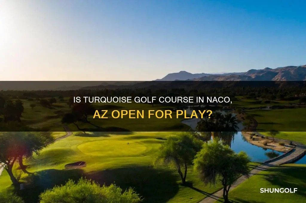 is turquoise golf course naco az open