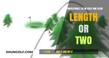 Unplayable Lie in Golf: One Club Length or Two?