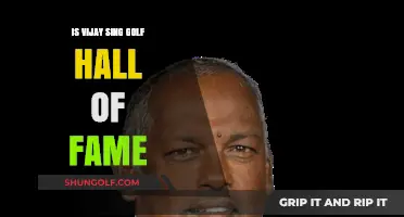 Vijay Singh's Golf Legacy: Hall of Fame Worthy?