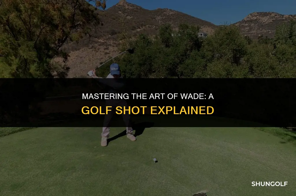 is wade a golf shot
