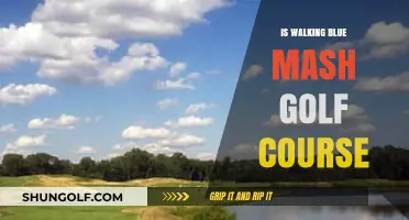 Exploring Blue Mash Golf Course: Is Walking the Fairways Worth It?