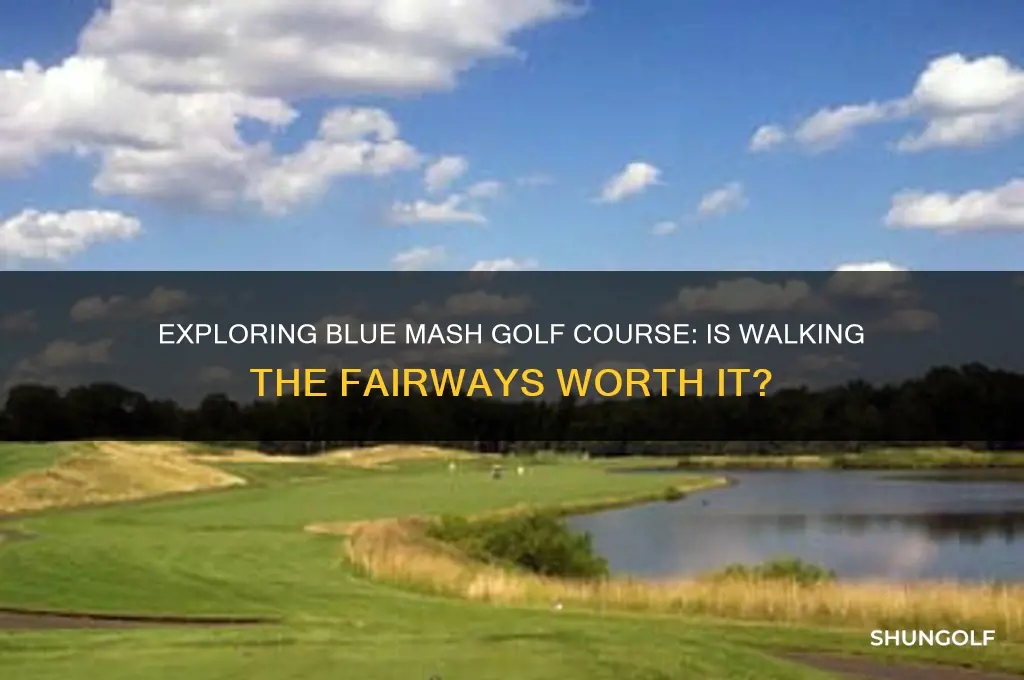 is walking blue mash golf course