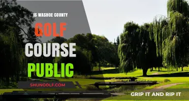 Is Washoe County Golf Course Public? Exploring Access and Ownership