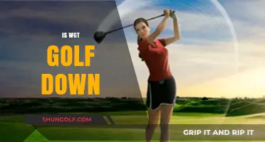 WGT Golf: What's Going On With the Downtime?