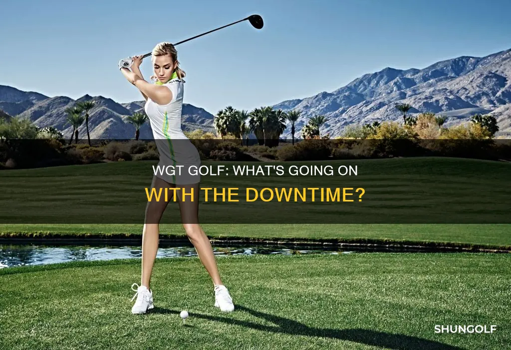 is wgt golf down
