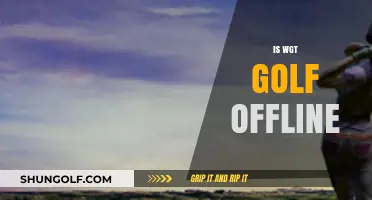 WGT Golf: Can You Play Offline?