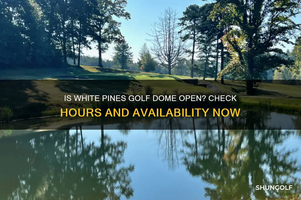 is white pines golf dome open