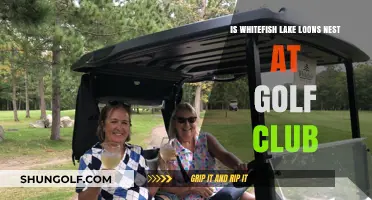 Whitefish Lake Loons: Nesting Habits at the Golf Club Explored