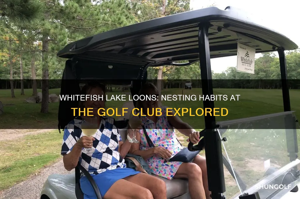 is whitefish lake loons nest at golf club