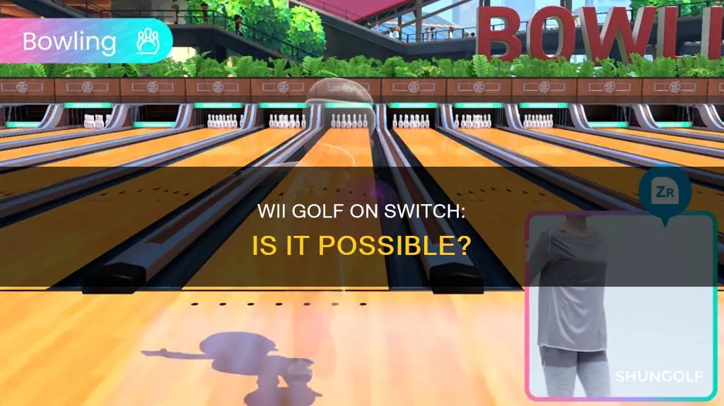 is wii golf on the switch