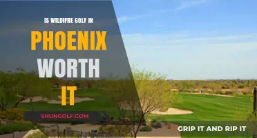 Is Wildfire Golf in Phoenix Worth the Hype? A Review