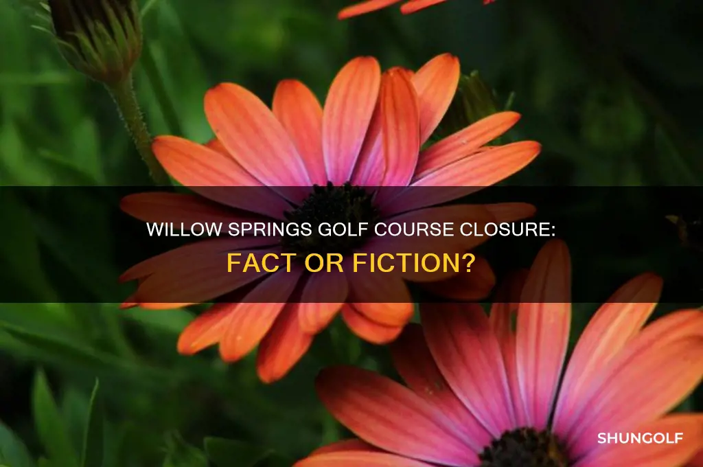 is willow springs golf course closing