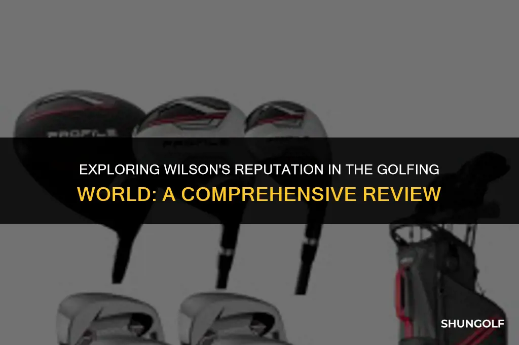 is wilson good golf brand