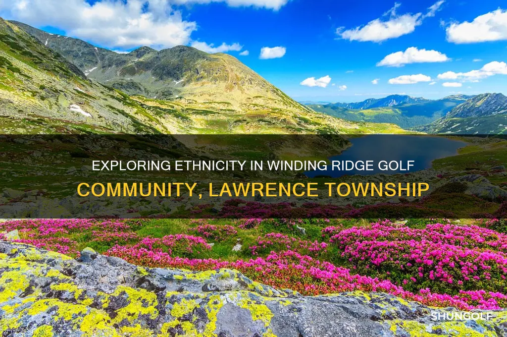 is winding ridge golf community lawrence township ethnicity