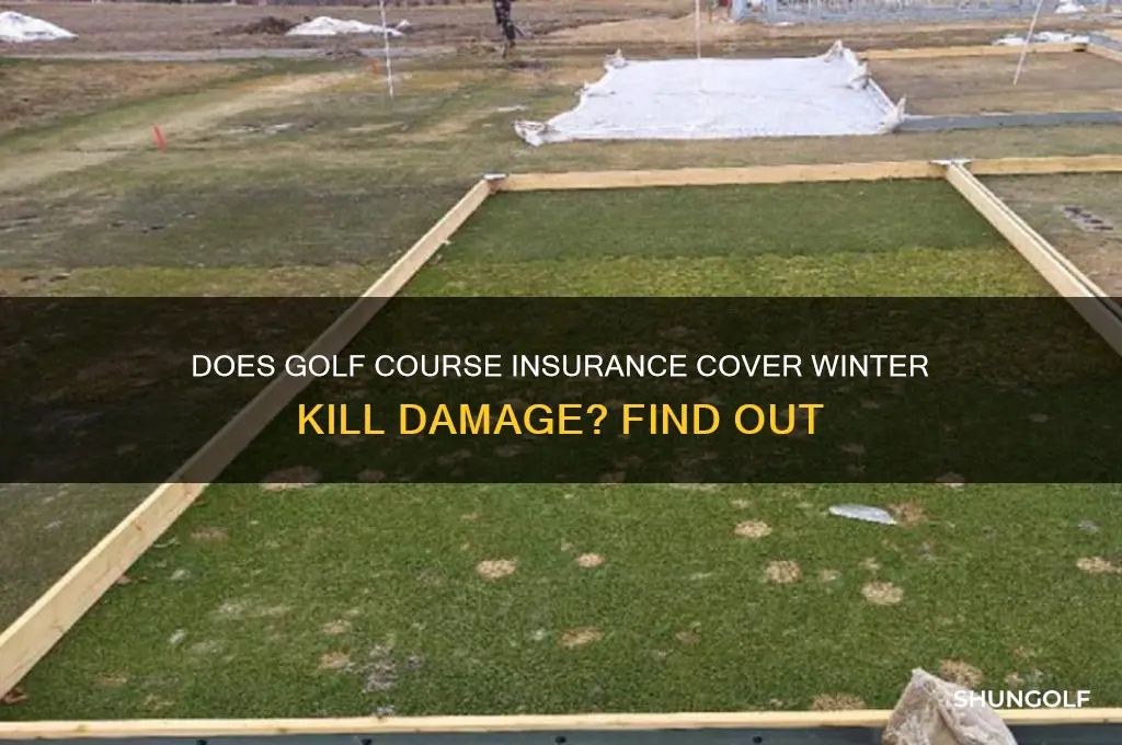 is winter kill on a golf course covered under insurance