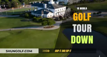 Golf Tour: Is the Game Down?