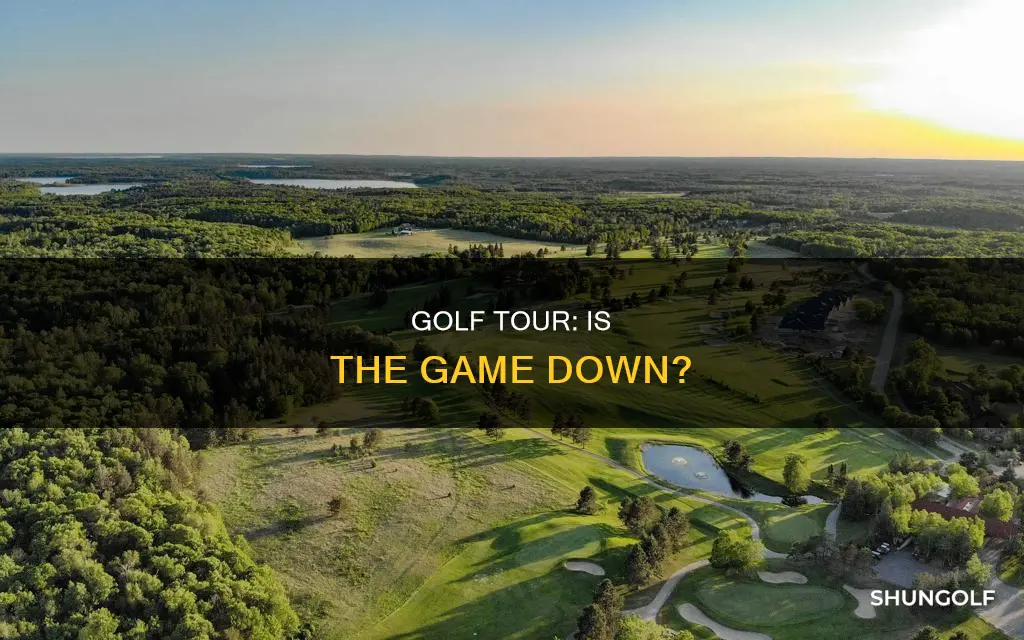 is world golf tour down