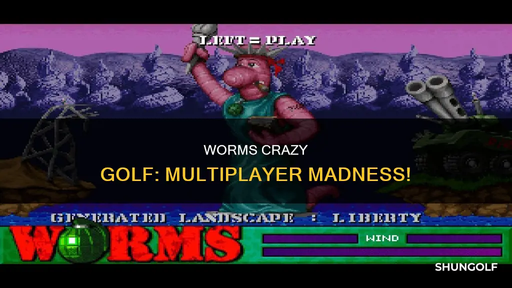 is worms crazy golf multiplayer