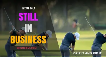 Zepp Golf: Is the Business Still Swinging?