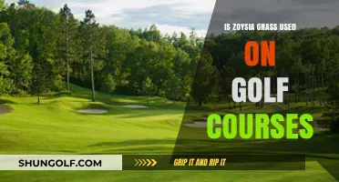 Zoysia Grass on Golf Courses: Benefits, Uses, and Maintenance Tips