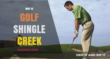 Golfers' Day Out at Shingle Creek on May 12