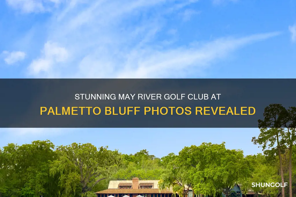 may river golf club at palmetto bluff photos
