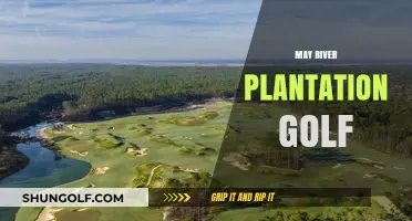 Golfing Paradise: May River Plantation's Course