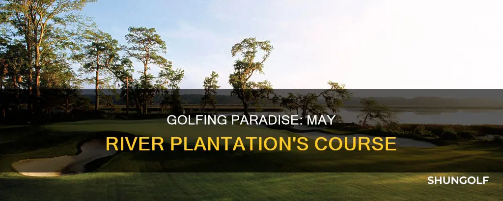 may river plantation golf